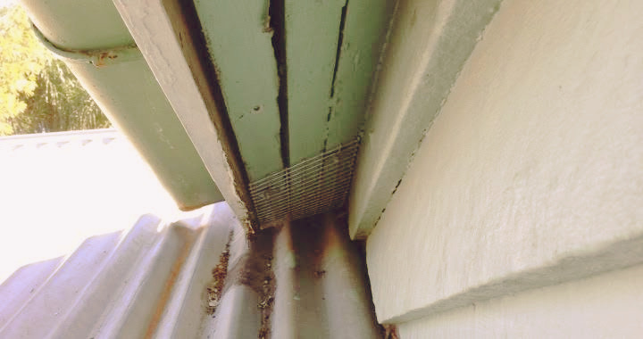 Possum proofing